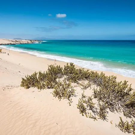 Home2book Vistas Corralejo, Amazing Terrace Apartment Corralejo